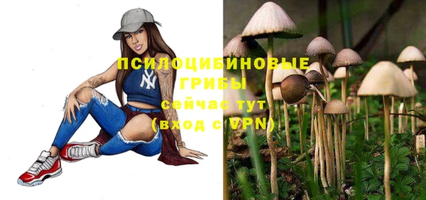 трава Заводоуковск