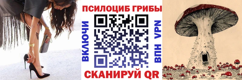 цена   omg сайт  Псилоцибиновые грибы Cubensis  Зеленодольск 