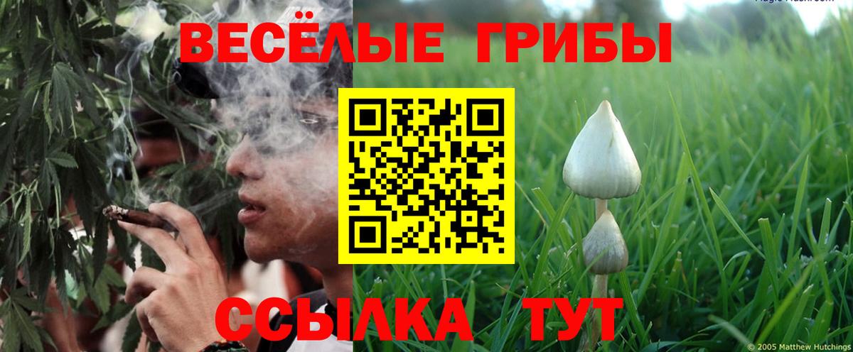 Галлюциногенные грибы ЛСД Зеленодольск